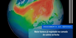 DESCOBERTA DA SEMANA