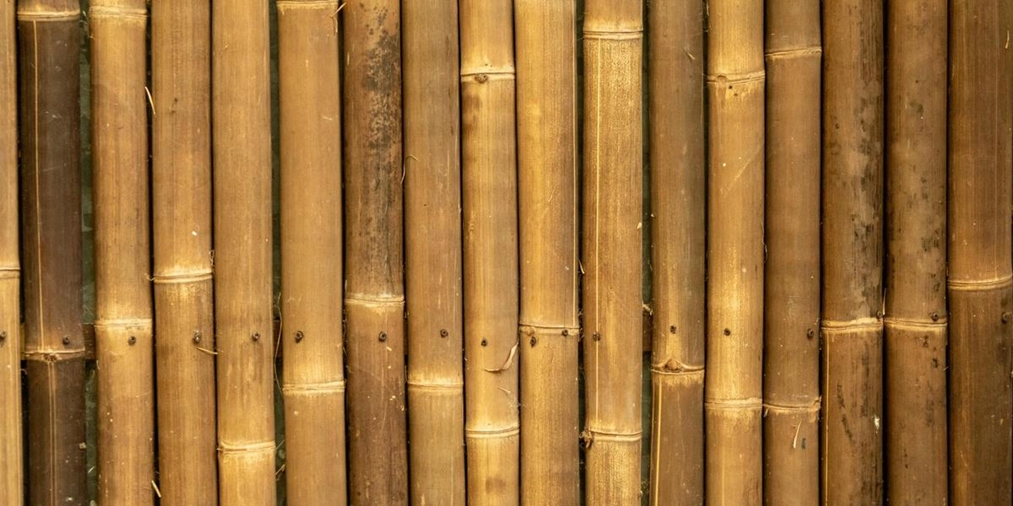 Pesquisa transforma canais de bambu em condutores