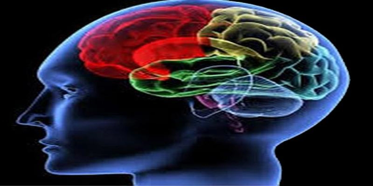 Neurociência cognitiva ajuda no aprendizado de inglês
