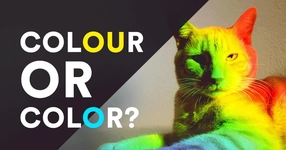 É color ou colour?