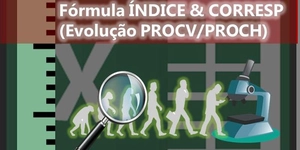 Aprenda a utilizar a fórmula ÍNDICE & CORRESP