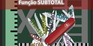 Aprenda a utilizar a função SUBTOTAL