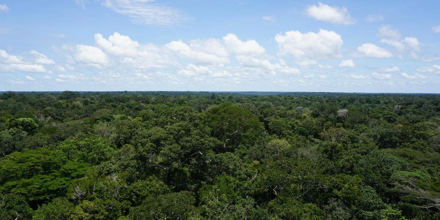 Um pouco sobre minha pesquisa na Amazônia Central