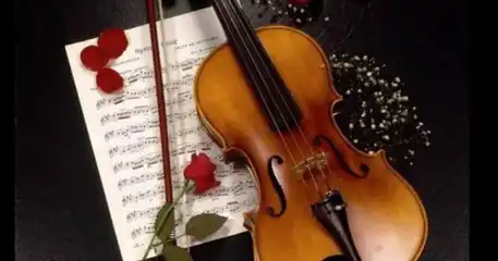A física do violino