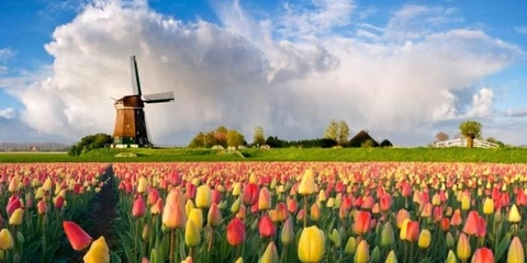 Curso de holandês gratuito muito bom - Introduction to Dutch
