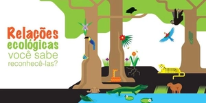 Relações Ecológicas, você lembra? Vamos exercitar!! #ecologi