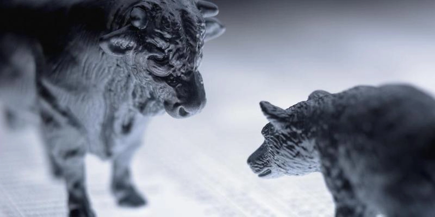 What is a bull and a bear market ?