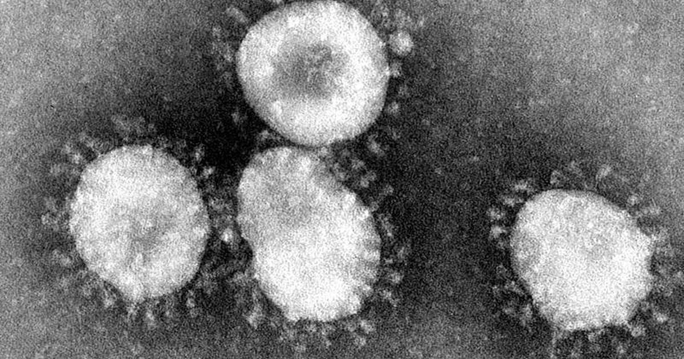 Coronavírus tema no Enem: Biologia