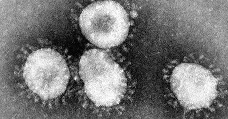 Coronavírus tema no Enem: Biologia