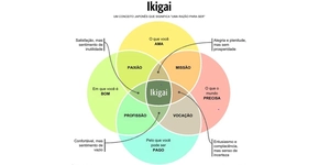 O IKIGAI E EU