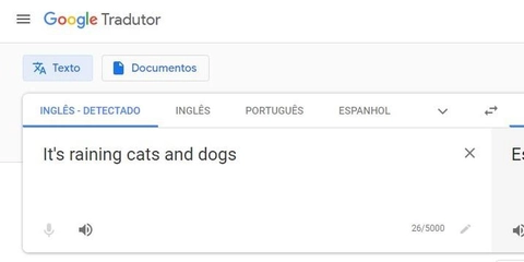 Google Tradutor - amigo ou inimigo?
