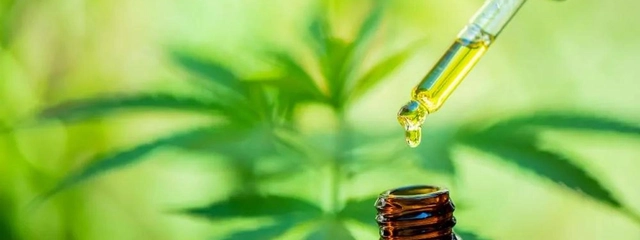 Cannabis medicinal: perspectivas fisiológicas e clínicas