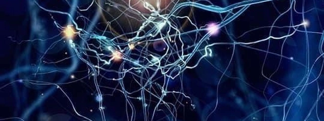 O que são neurônios pré e pós-ganglionares?